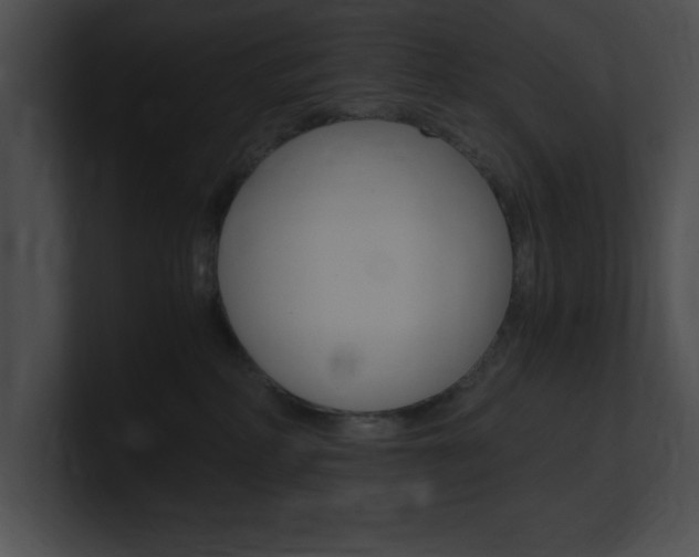 X0000101170234200806270800