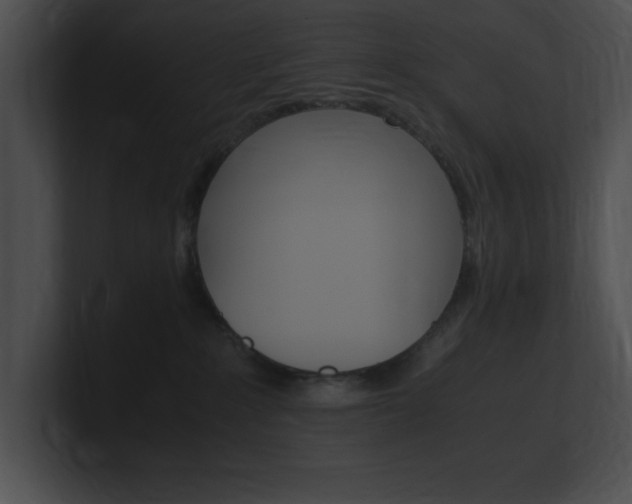 X0000101170235200806270800