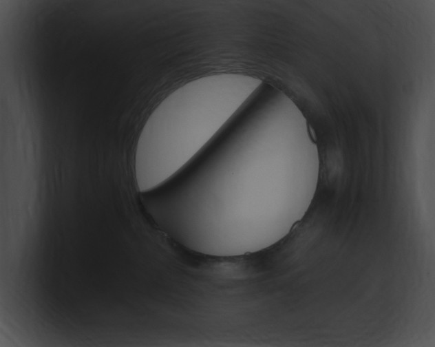 X0000101170236200806270800