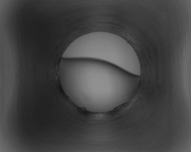 X0000101170237200806270800