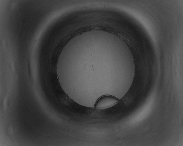 X0000101170239200806270800