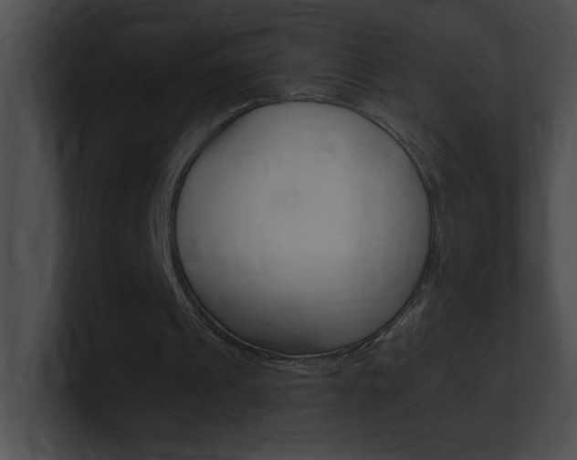 X0000101170241200806270759