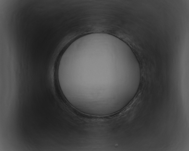 X0000101170242200806270759