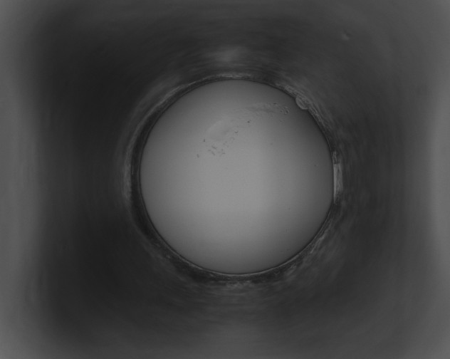 X0000101170243200806270759