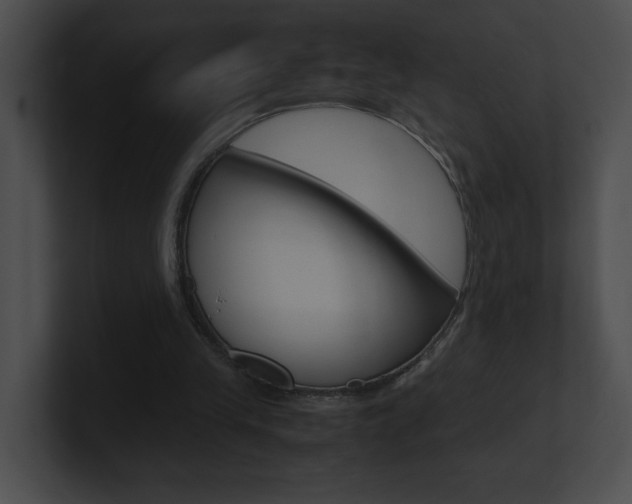 X0000101170245200806270759