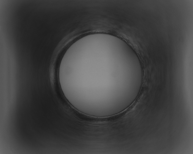 X0000101170247200806270759
