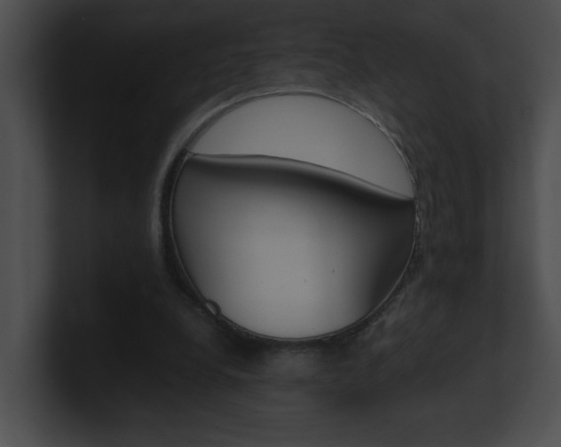 X0000101170248200806270759