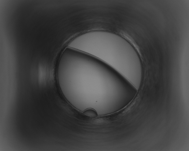 X0000101170249200806270759