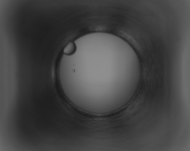 X0000101170251200806270759