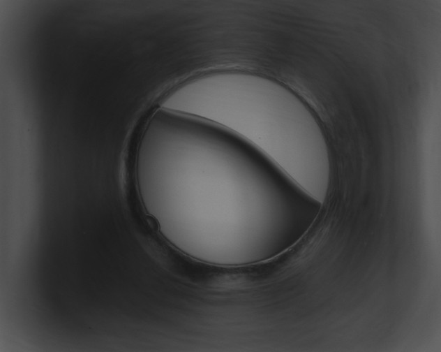 X0000101170252200806270759