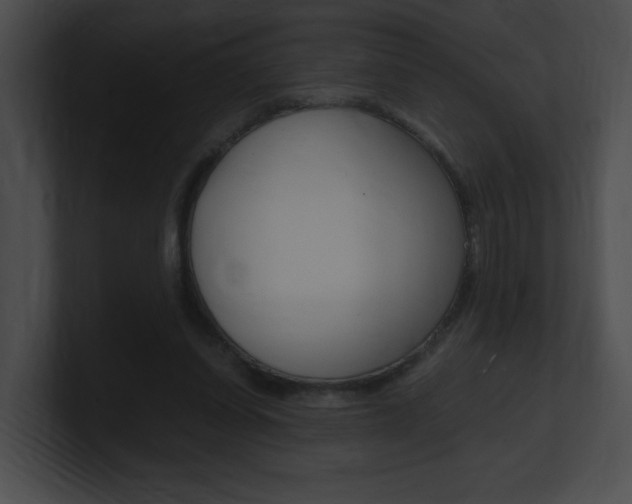 X0000101170254200806270759