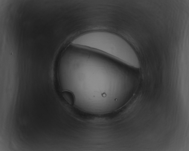 X0000101170256200806270759