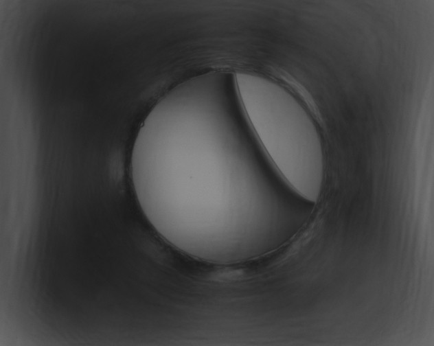 X0000101170257200806270759