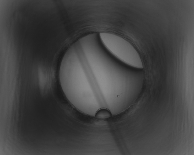 X0000101170258200806270759