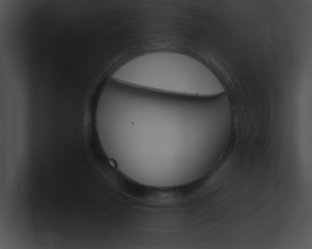 X0000101170260200806270759