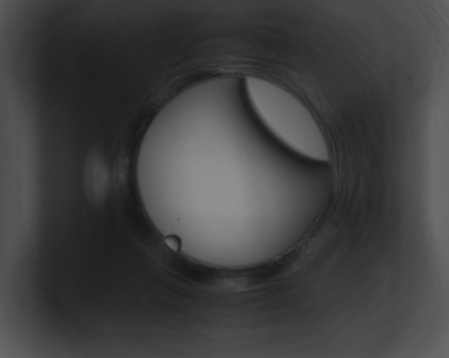 X0000101170263200806270759