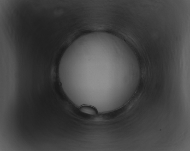 X0000101170264200806270759