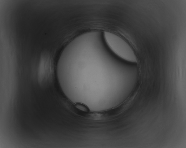 X0000101170265200806270759