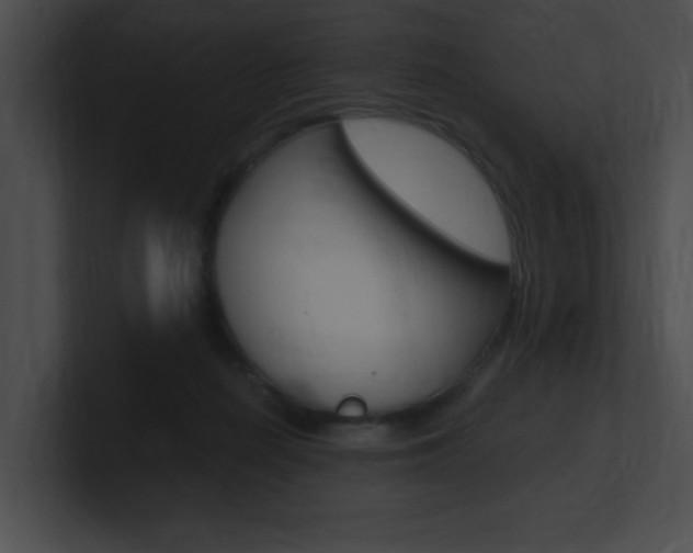X0000101170266200806270759
