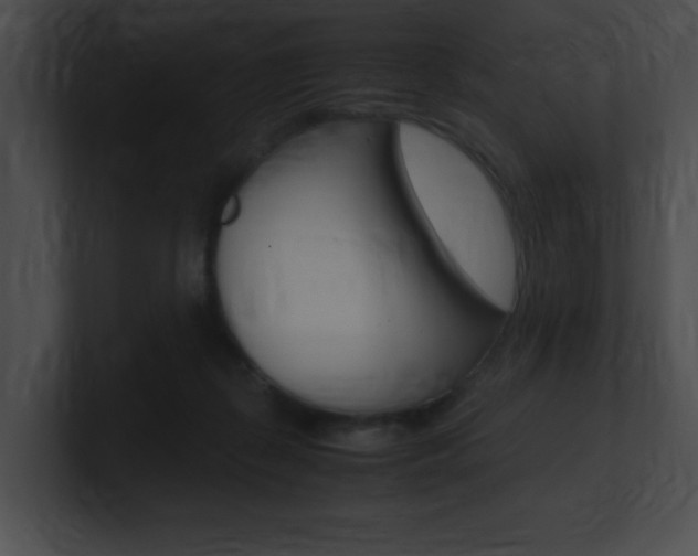 X0000101170267200806270759