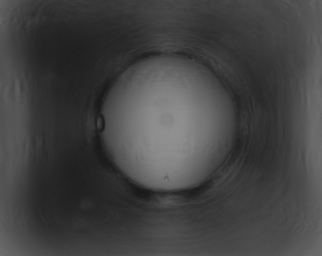 X0000101170268200806270759