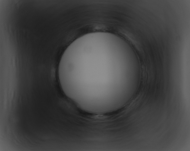 X0000101170269200806270759