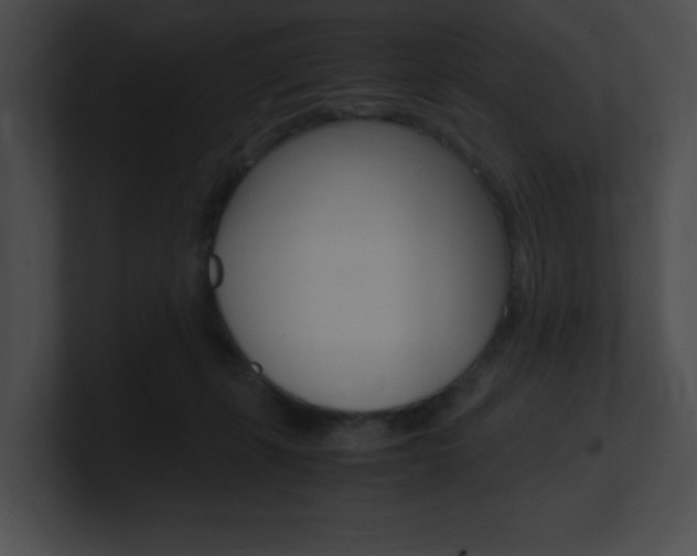 X0000101170271200806270759