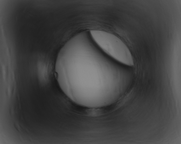 X0000101170273200806270759