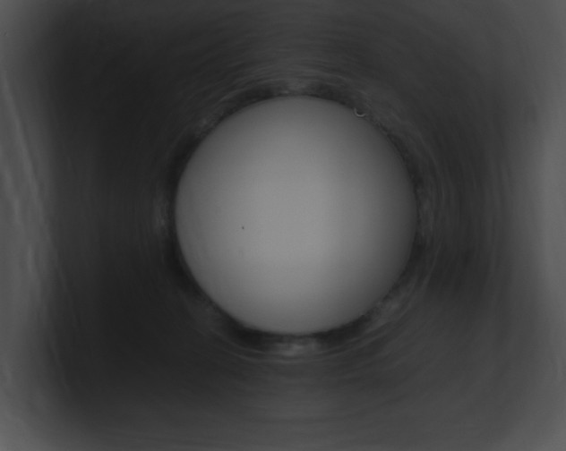 X0000101170274200806270759