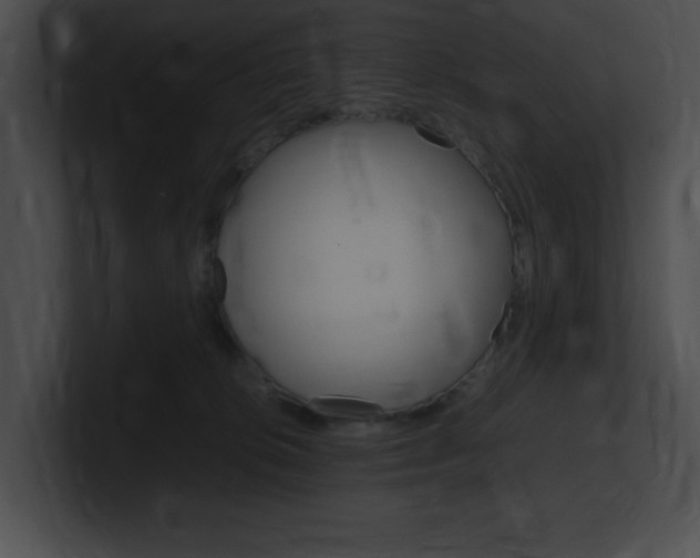 X0000101170276200806270759