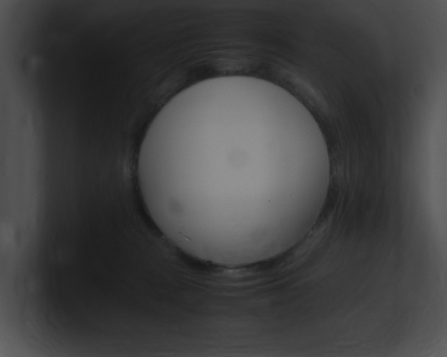 X0000101170277200806270759