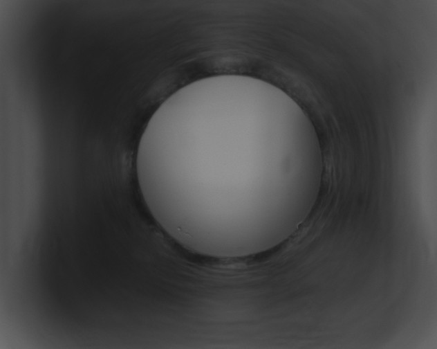 X0000101170278200806270759