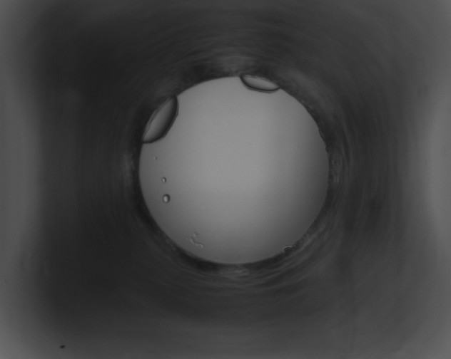 X0000101170279200806270759
