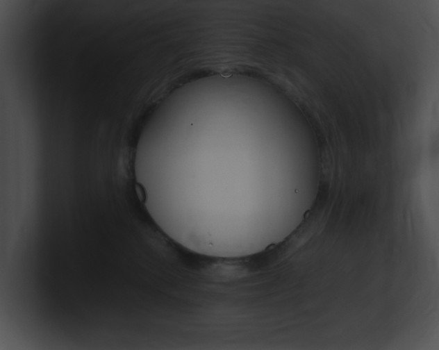 X0000101170280200806270800
