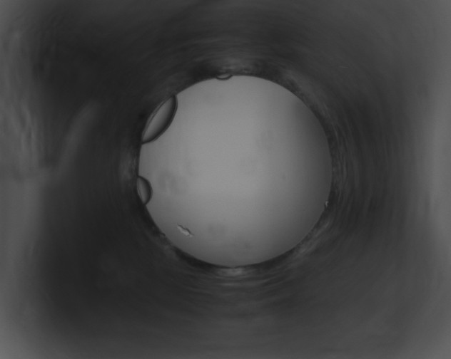 X0000101170281200806270800