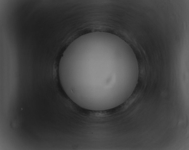 X0000101170282200806270800