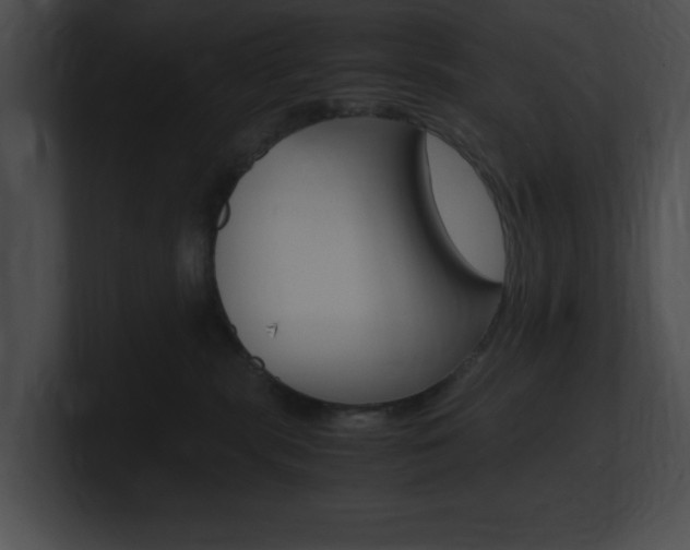 X0000101170283200806270800