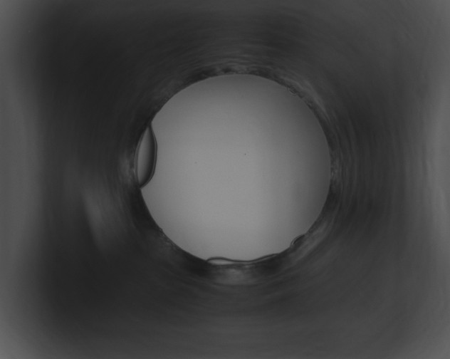 X0000101170285200806270800