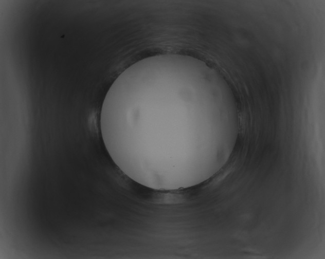 X0000101170286200806270800