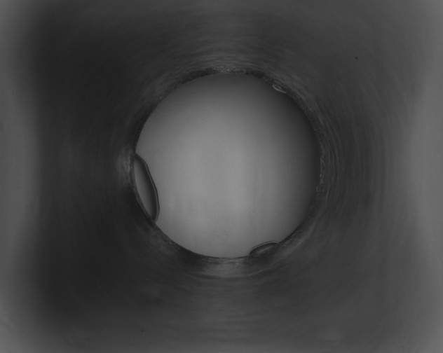X0000101170288200806270800