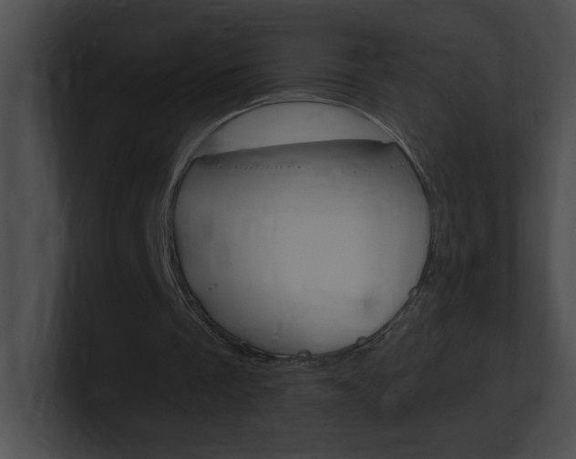 X0000101170289200806270759