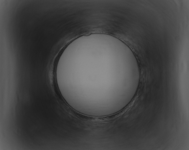 X0000101170290200806270759