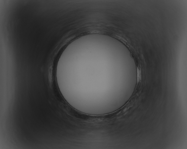 X0000101170291200806270759