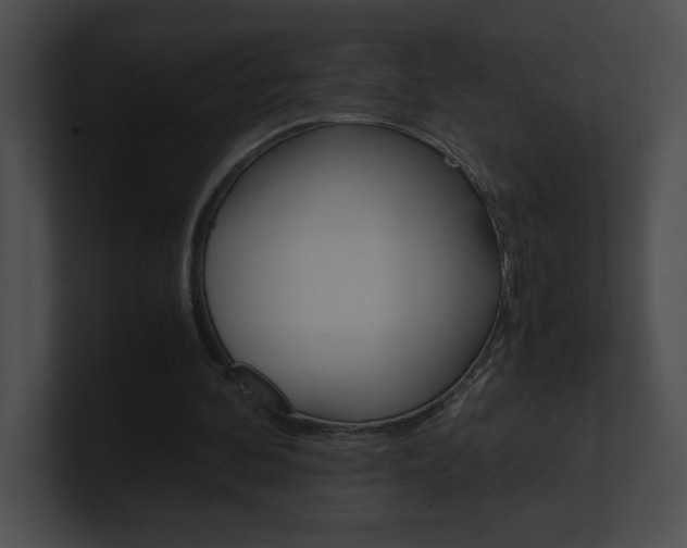 X0000101170292200806270759