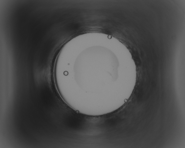 X0000101170293200806270759
