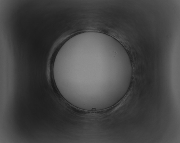 X0000101170294200806270759
