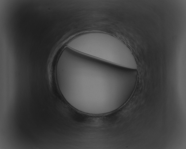 X0000101170295200806270759