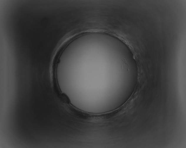 X0000101170296200806270759