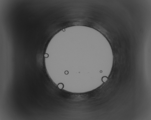 X0000101170297200806270759