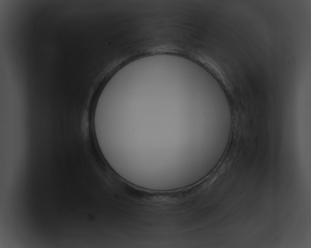 X0000101170298200806270759